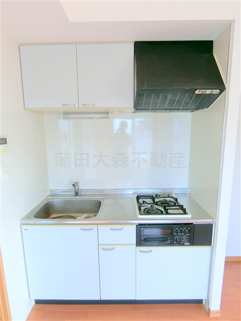 フラットパル山王のキッチン|2口ガスグリル付システムキッチン