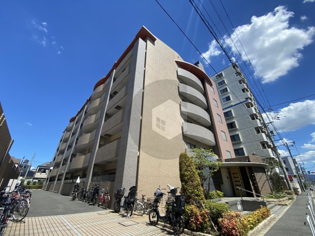 リオ・プレシオーサの外観