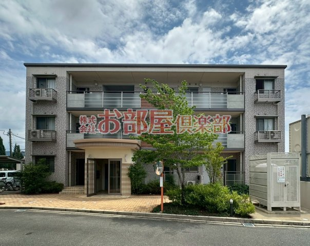 ステラオブアリエス