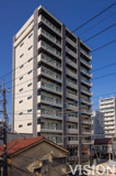 桜木　MSKの画像