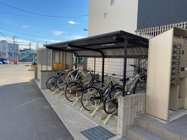 クレイノエカヒのその他