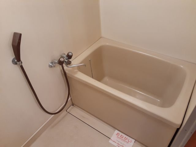 ハイツティオの浴室