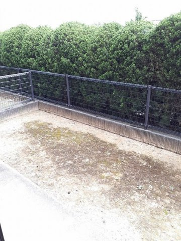 シティハイツ園田の庭