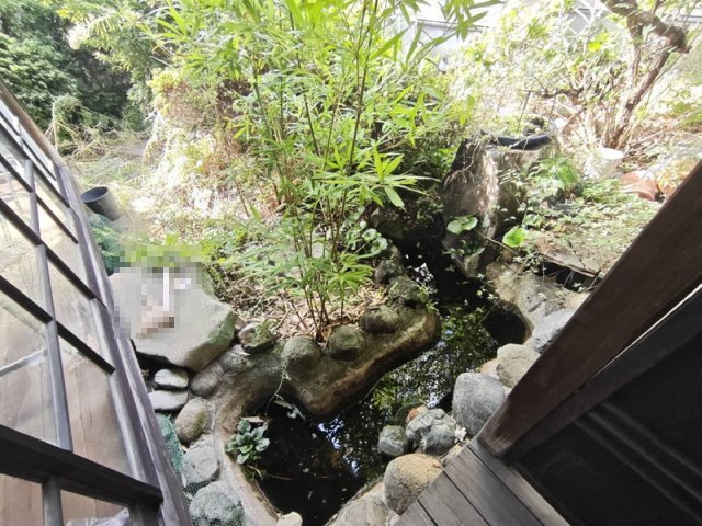【庭】 | 趣のある古民家戸建／たつの市龍野町北龍野
