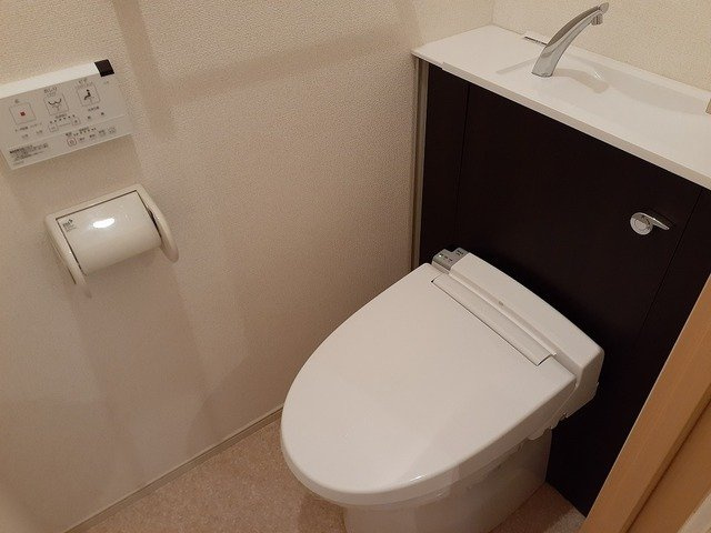 ノイ・グランツのトイレ