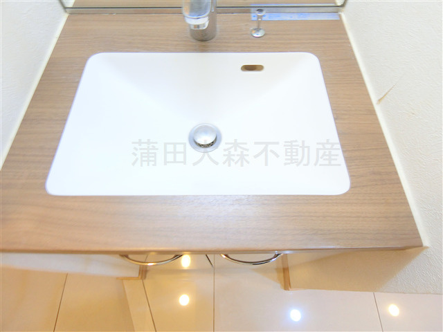 ルーブル大鳥居参番館の洗面所