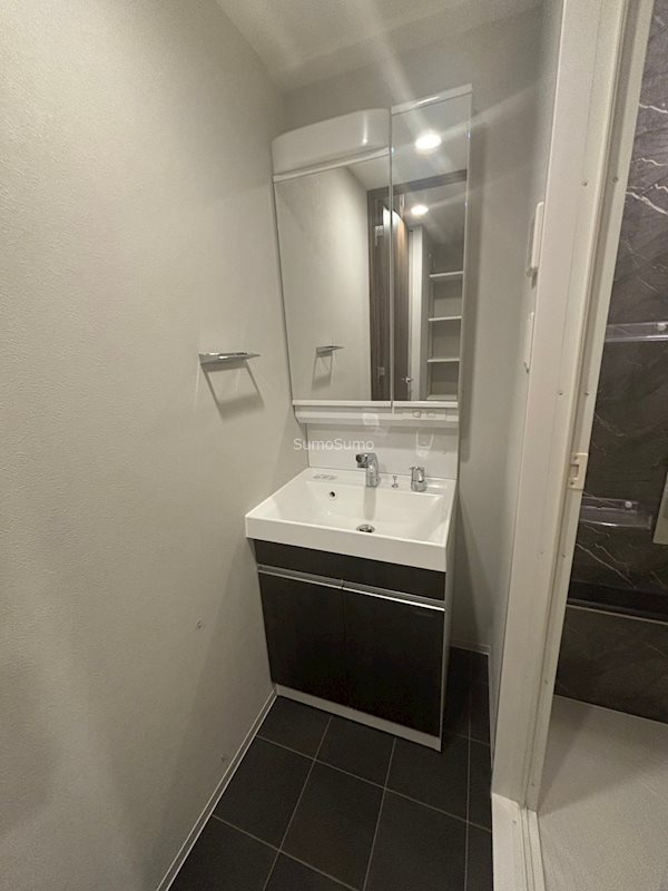 ライフフィールドなにわ本町RUELLEの洗面所