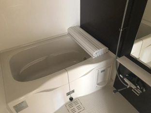 バス