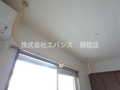 【その他】 | パセオクリサンテモ