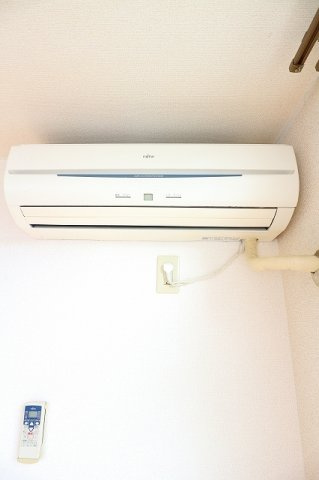 シャロームのその他