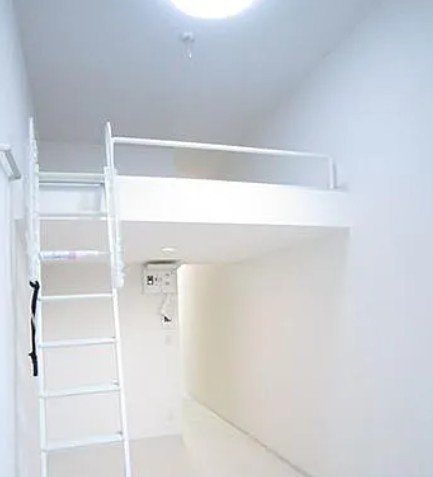 アプリコットのその他