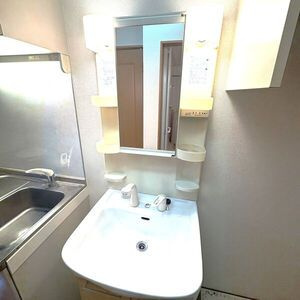 エフコーポの洗面所