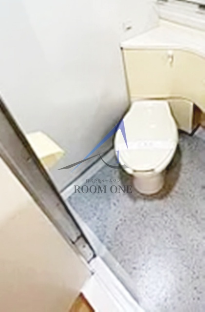 スカイコート新宿曙橋のトイレ|トイレです。