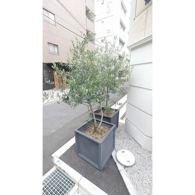アムス早稲田（旧Ｌａ　Ｂｌａｎｃｈｅｕｒ　早稲田）のその他共用部分