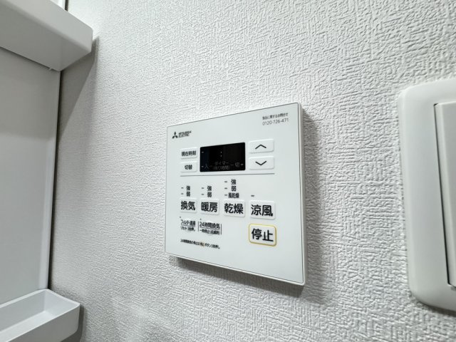 F asecia copperのその他