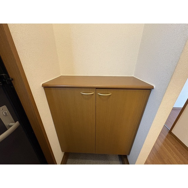 グリーンマーサの収納