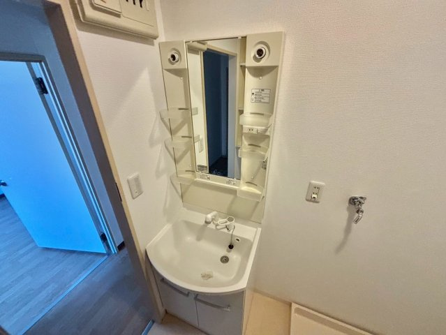 ハッピーコートさんわの洗面所