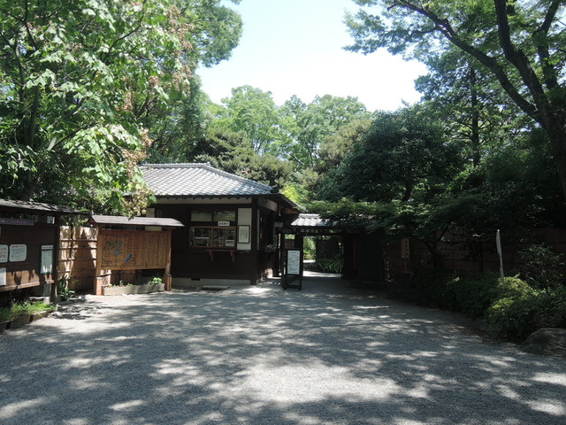 リベルテスミダのその他|向島百花園