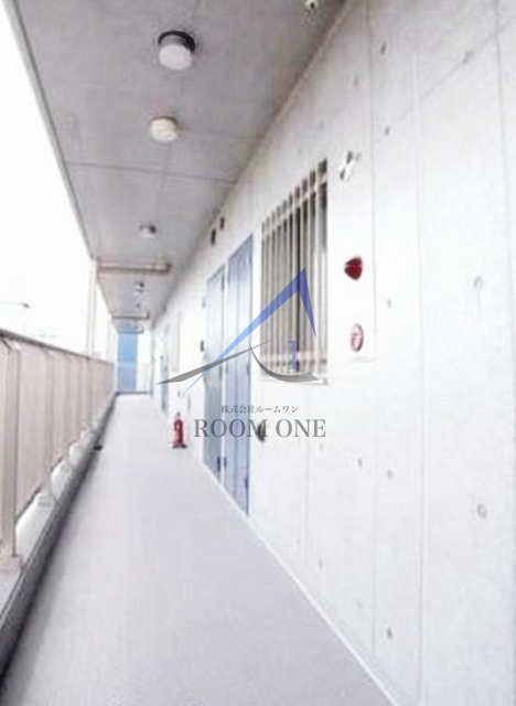 Ｄｏｒｍｏｕｓｅ　Ｆｉｎｅ