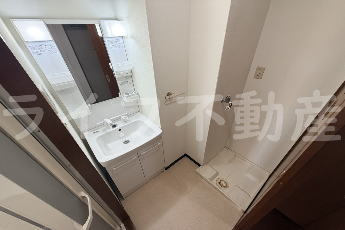 カーサエスパシオの洗面所