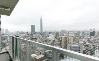 イーストコア曳舟一番館の展望|参考写真