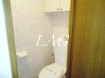 【トイレ】 | アーバンホームズ国分寺 | トイレです。