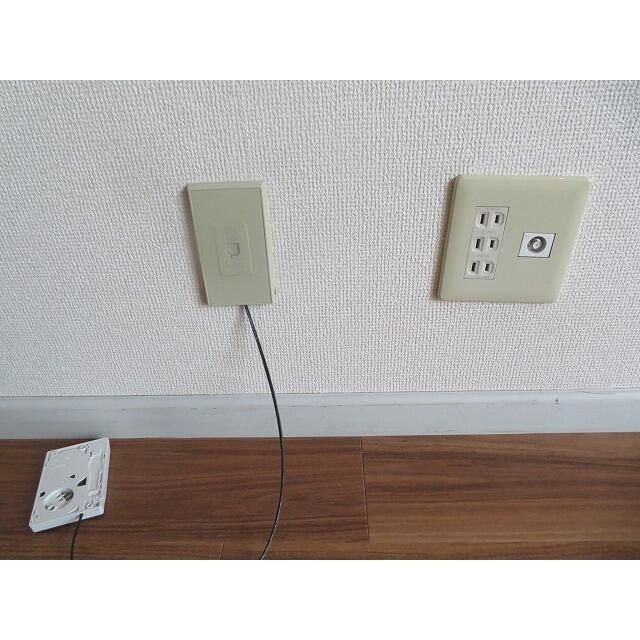 ナプコグリーンのその他