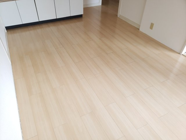 メゾン新小岩の居間・リビング