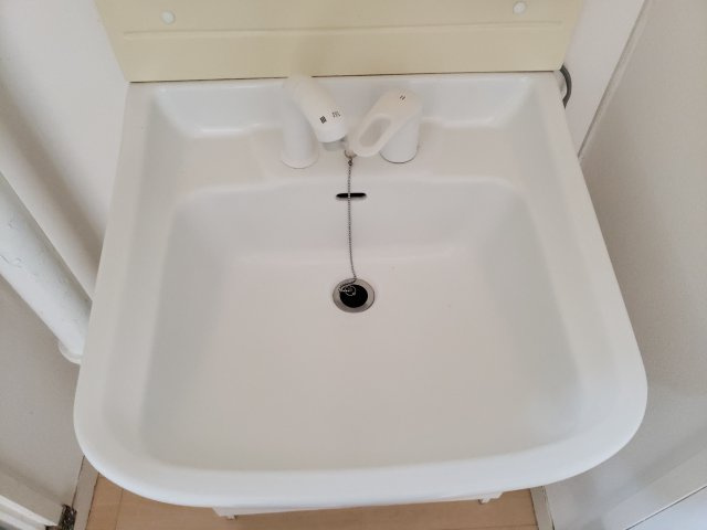 メゾン新小岩の洗面所