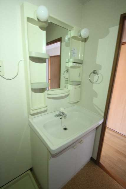 東大和市清水５丁目の賃貸マンションの洗面所