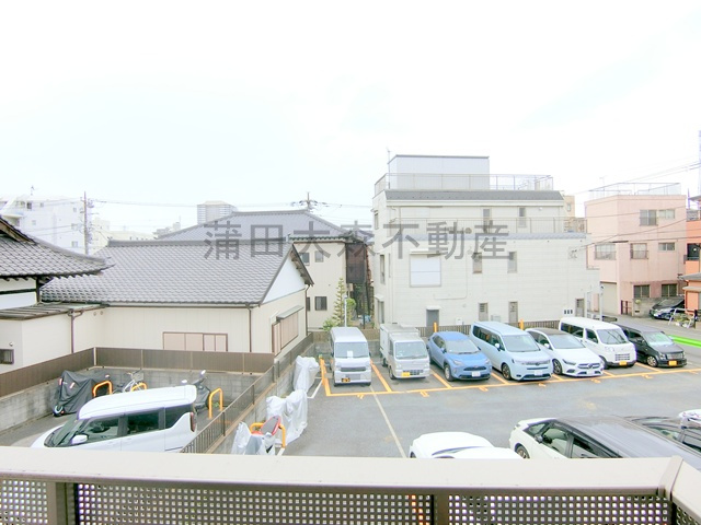 フィカーサSの展望