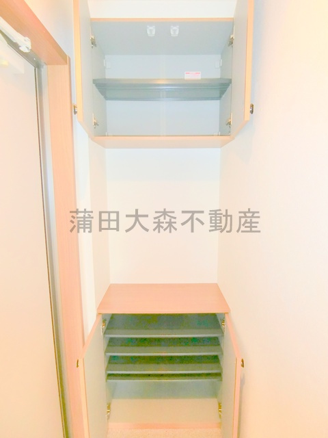 フィカーサSの収納