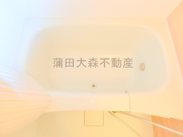 フィカーサSの浴室