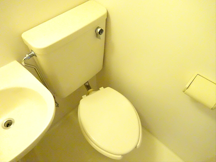 メゾン・ド・リシェスのトイレ|トイレも気になるポイント