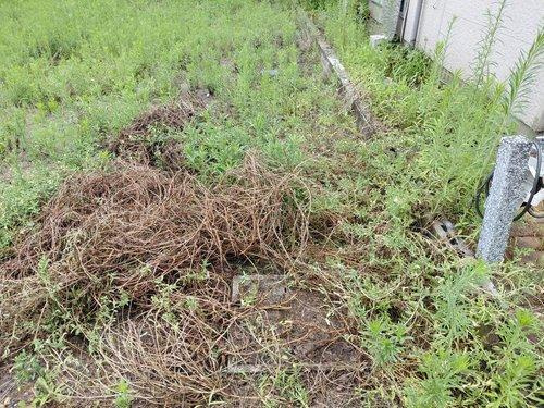 旭町通2　土地の外観|現地（2026年7月）撮影