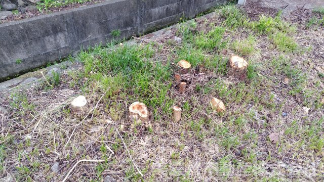 ６４６０１　岐阜市川部2丁目土地の外観