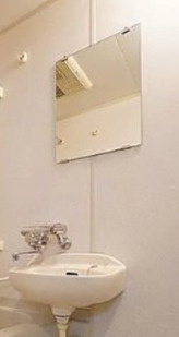 パレステュディオ文京南の洗面所