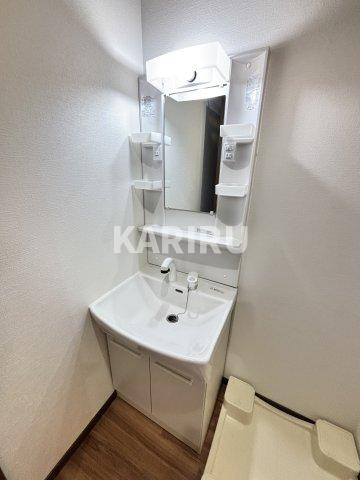 ドゥエリング森小路の洗面所