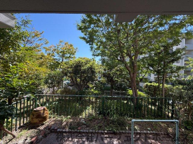 【展望】の画像