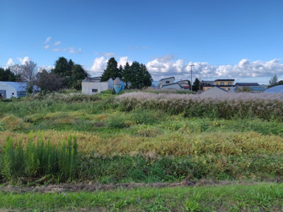 【外観】 | 南津軽郡藤崎町大字久井名舘字早稲田・土地物件