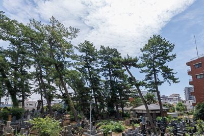 市川市市川１丁目の賃貸マンションの展望