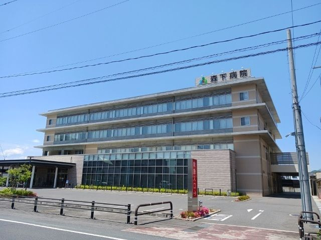 シェモアＢのその他