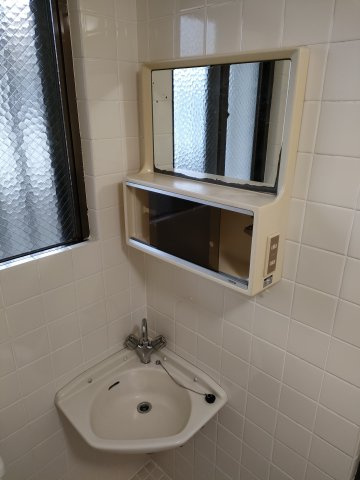 グリーンマンションⅠの洗面所
