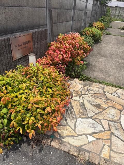 Orchard田園調布のエントランス