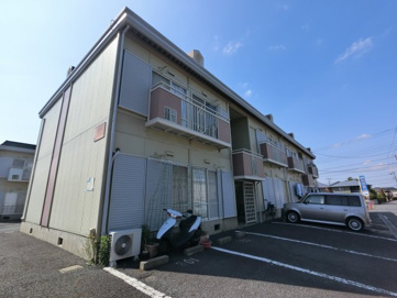 マチス Aの画像