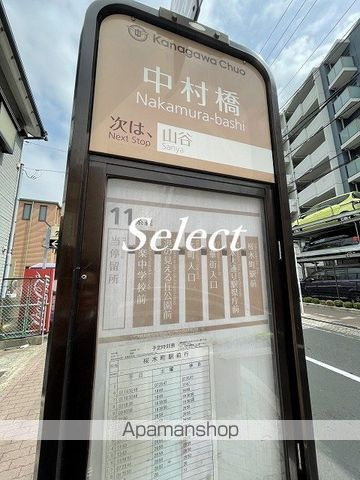 アイルグランデ横浜サウスの周辺|中村橋 その他 49m 