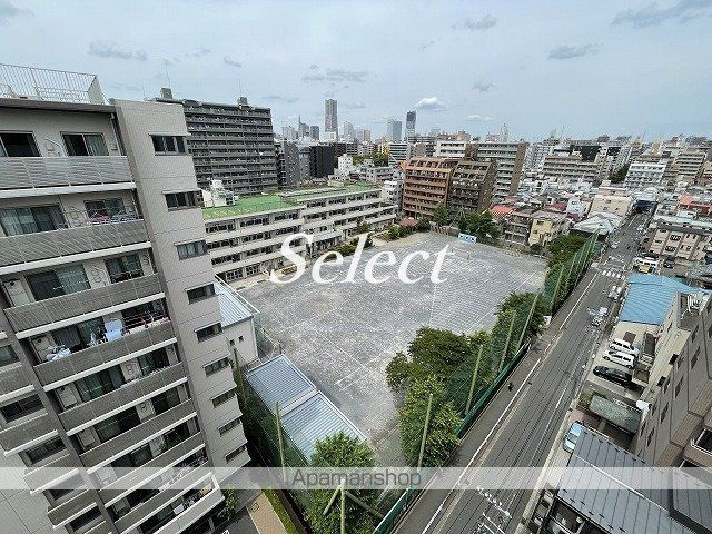 クラリッサ大通り公園の周辺|横浜市立南吉田小学校 小学校 230m 