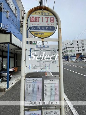 横浜市南区通町２丁目の賃貸マンションの周辺|通町１ その他 206m 