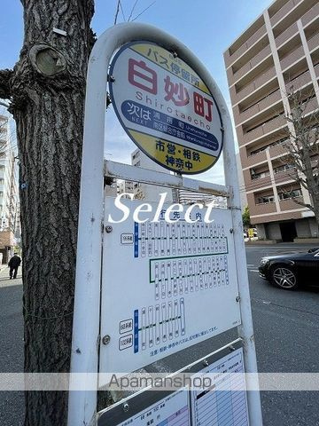 クレヴィスタ阪東橋の周辺|白妙町 その他 168m 