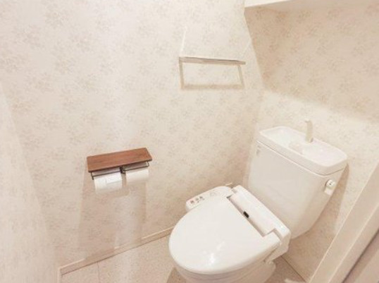ブリリｔｏｗｅｒ品川シーサイドのトイレ|トイレです